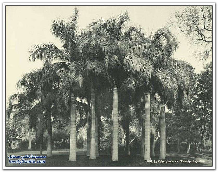 صور لمصر عام 1870م