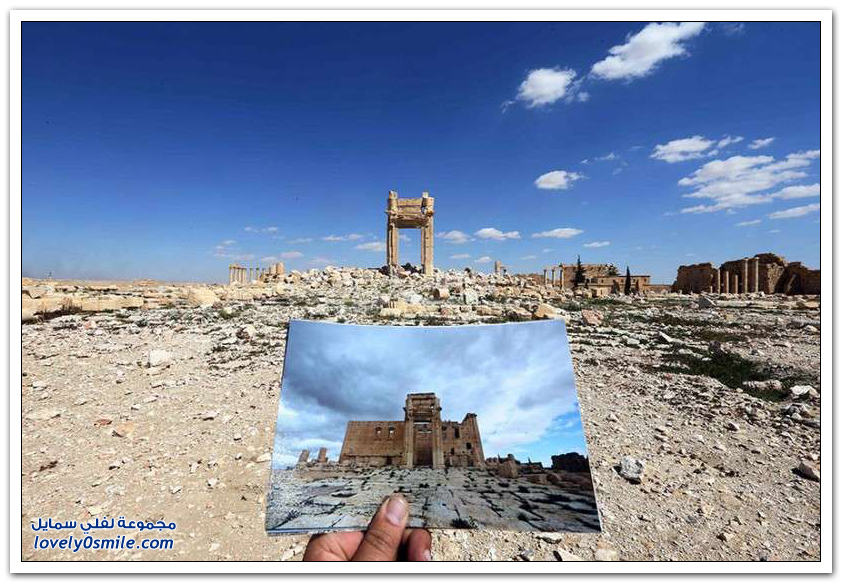 مدينة تدمر التاريخية السورية بين الماضي والحاضر
