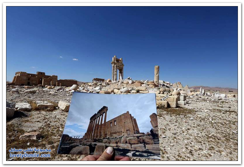 مدينة تدمر التاريخية السورية بين الماضي والحاضر