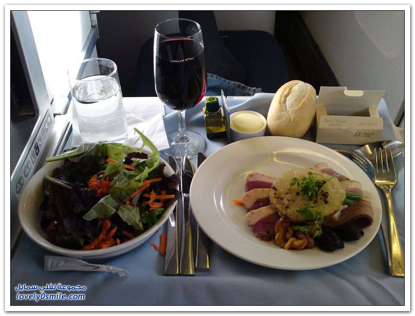 وجبات الطعام في بعض خطوط الطيران حول العالم