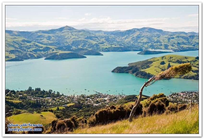 الطبيعة الساحرة في نيوزيلندا