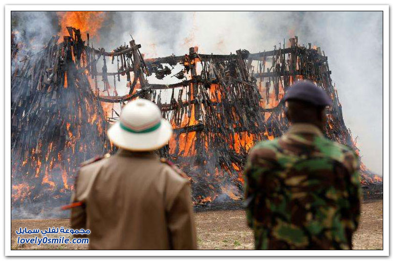 إحراق 5000 كلاشنكوف في كينيا