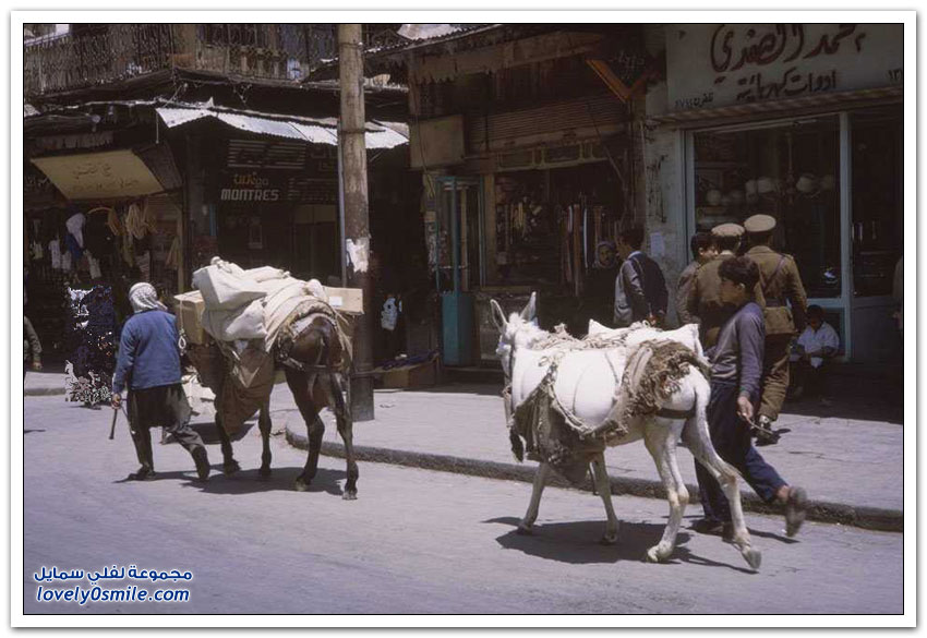 كيف كانت دمشق قبل أكثر من 50 عاماً