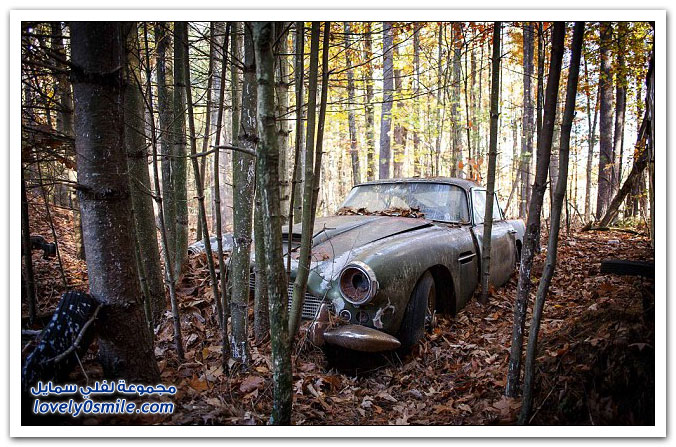 سيارة استون مارتن وقفت في غابة 40 سنة وتباع بـ 400 ألف دولار