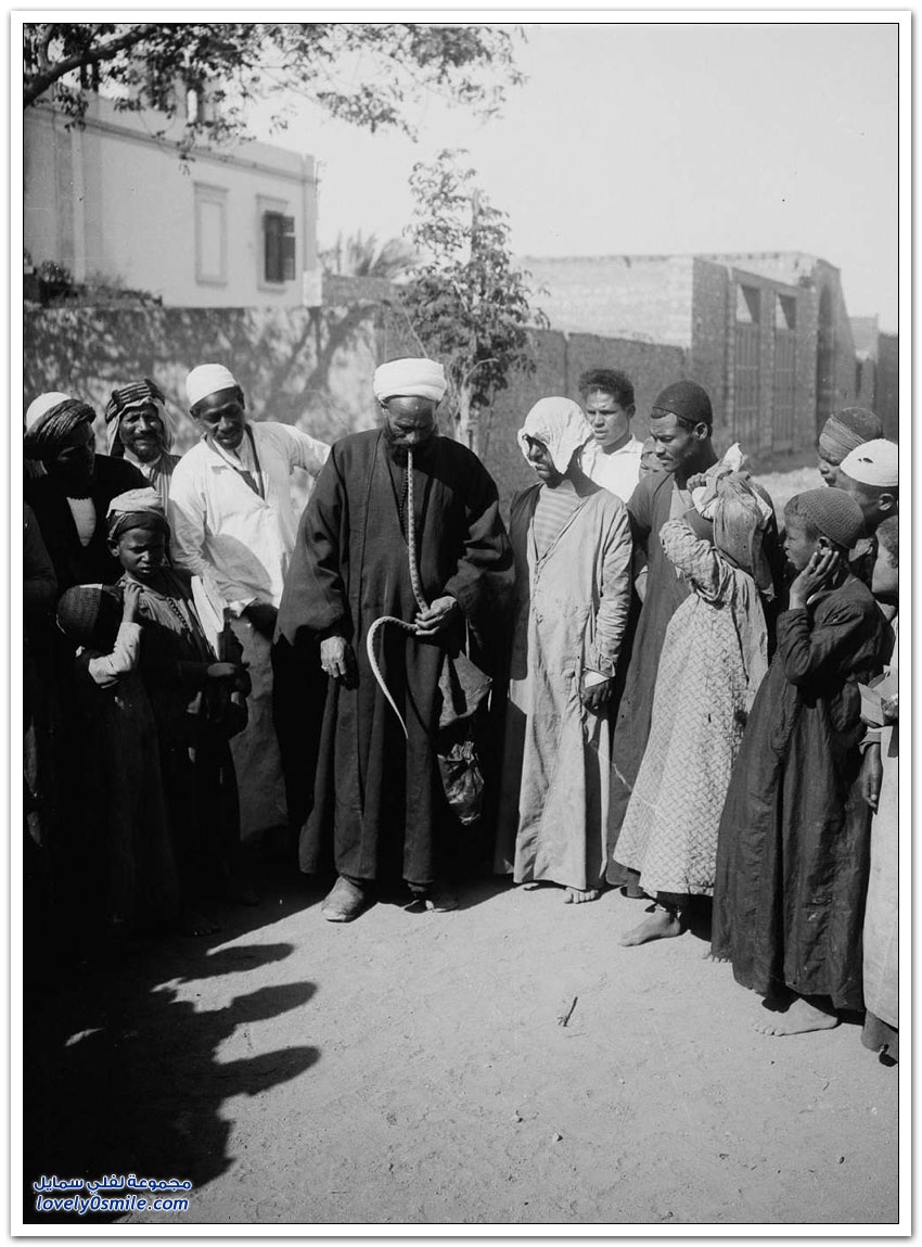 صور القاهرة بين عامي 1900-1936م