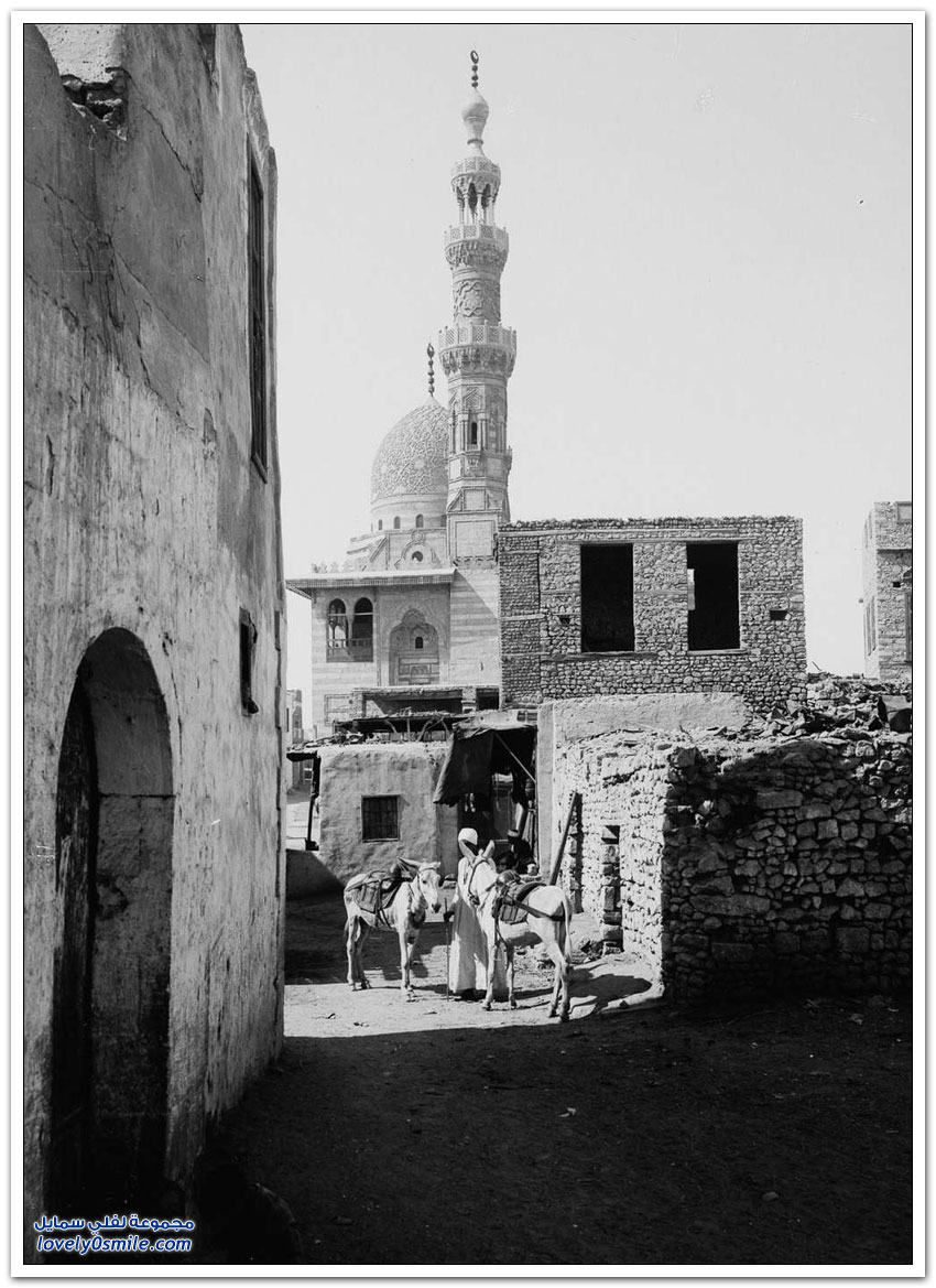 صور القاهرة بين عامي 1900-1936م