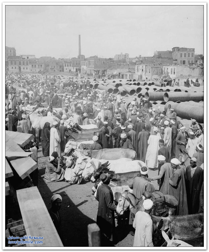 صور القاهرة بين عامي 1900-1936م