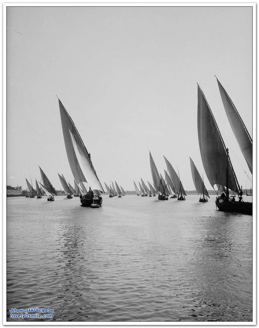 صور القاهرة بين عامي 1900-1936م