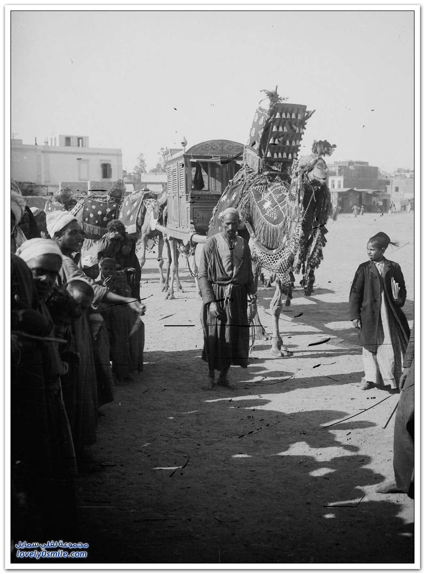 صور القاهرة بين عامي 1900-1936م