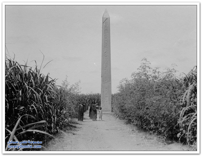 صور القاهرة بين عامي 1900-1936م