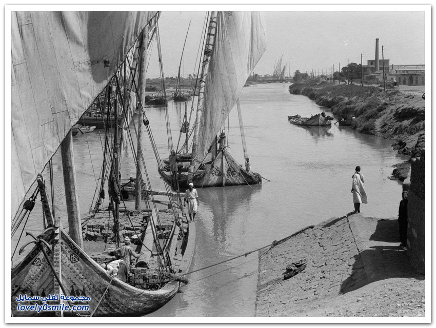 صور القاهرة بين عامي 1900-1936م