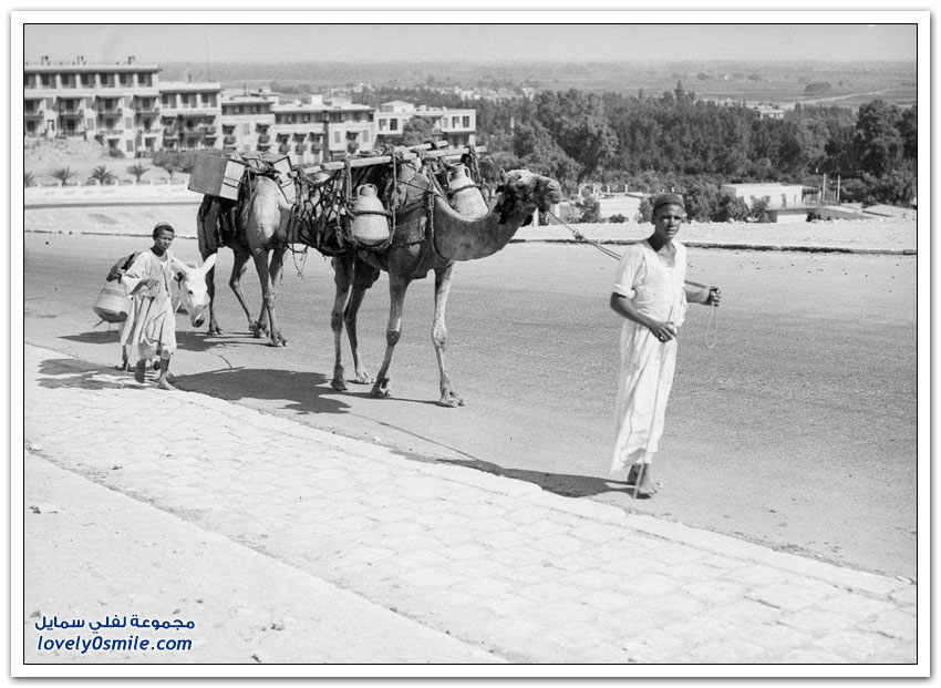 صور القاهرة بين عامي 1900-1936م