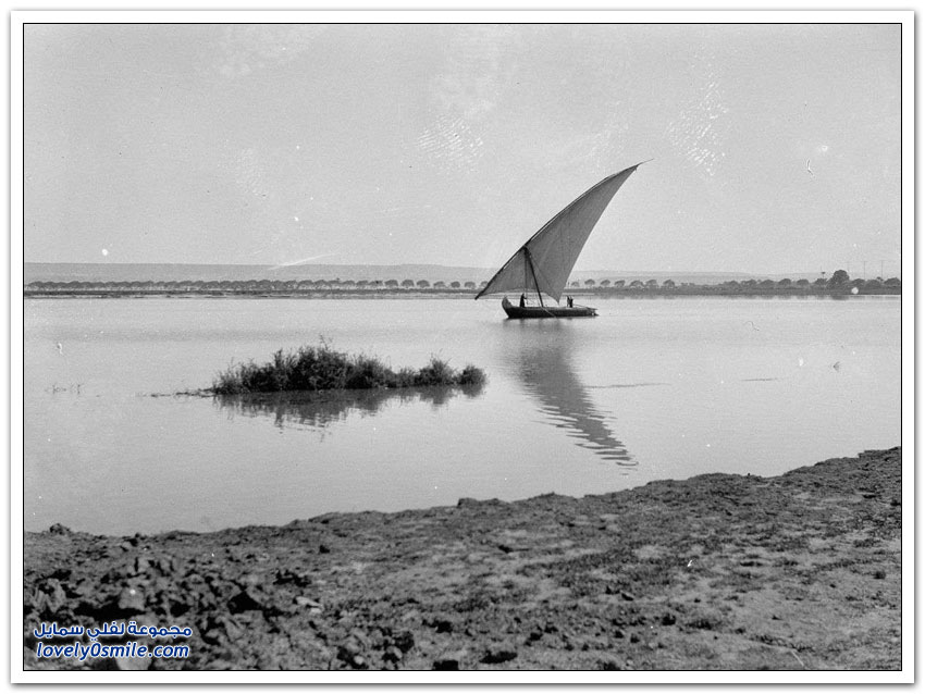 صور القاهرة بين عامي 1900-1936م