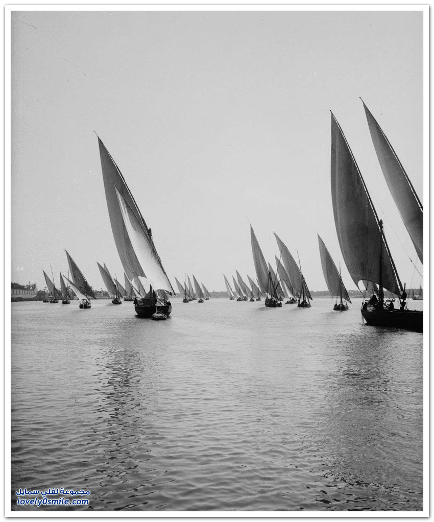 صور القاهرة بين عامي 1900-1936م