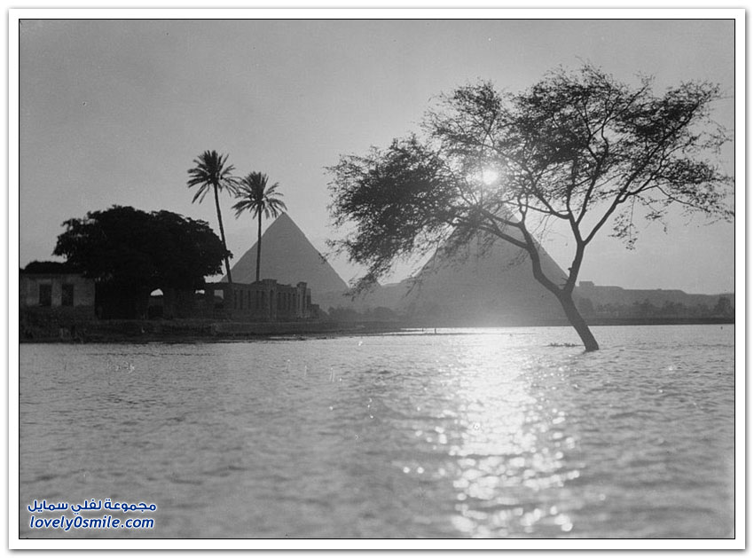 صور القاهرة بين عامي 1900-1936م