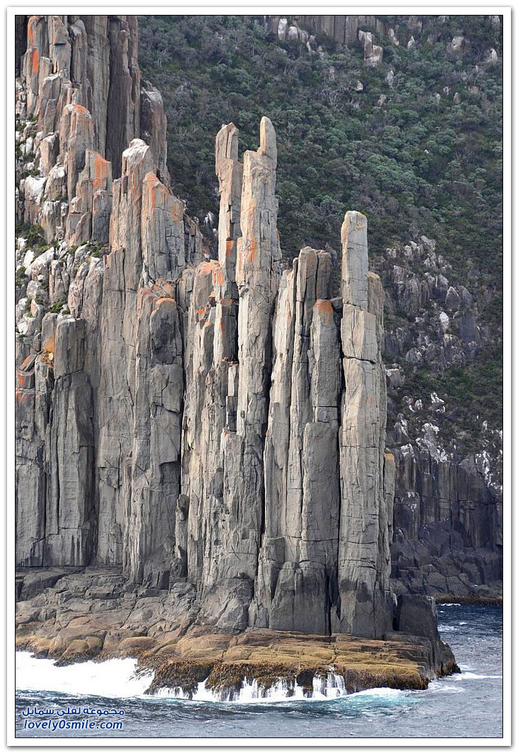 أعمدة صخرية بارتفاع 300 متر على ساحل جزيرة تسمانيا