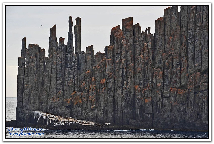 أعمدة صخرية بارتفاع 300 متر على ساحل جزيرة تسمانيا