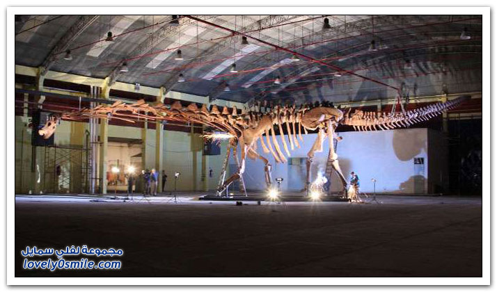 اكتشاف أكبر ديناصور في العالم بحجم طائرة بوينغ 737