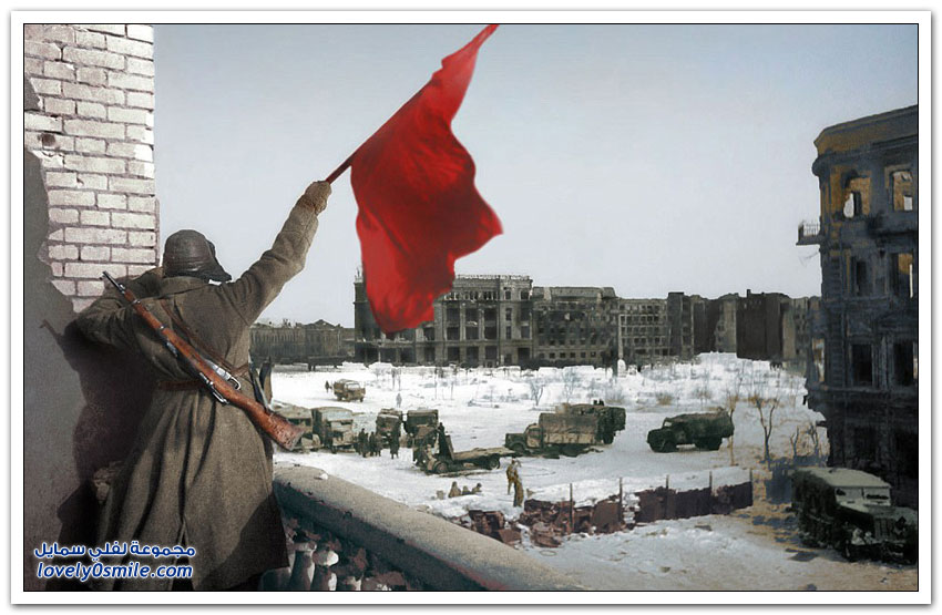صور من معركة ستالينغراد بالألون