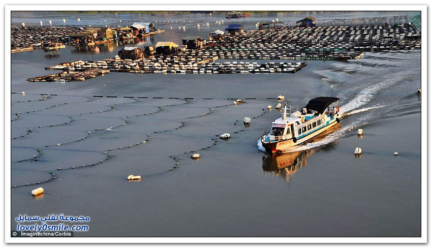مزارع الأسماك العائمة في الصين