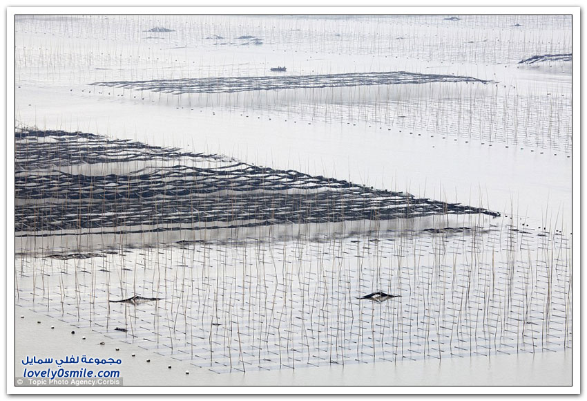مزارع الأسماك العائمة في الصين