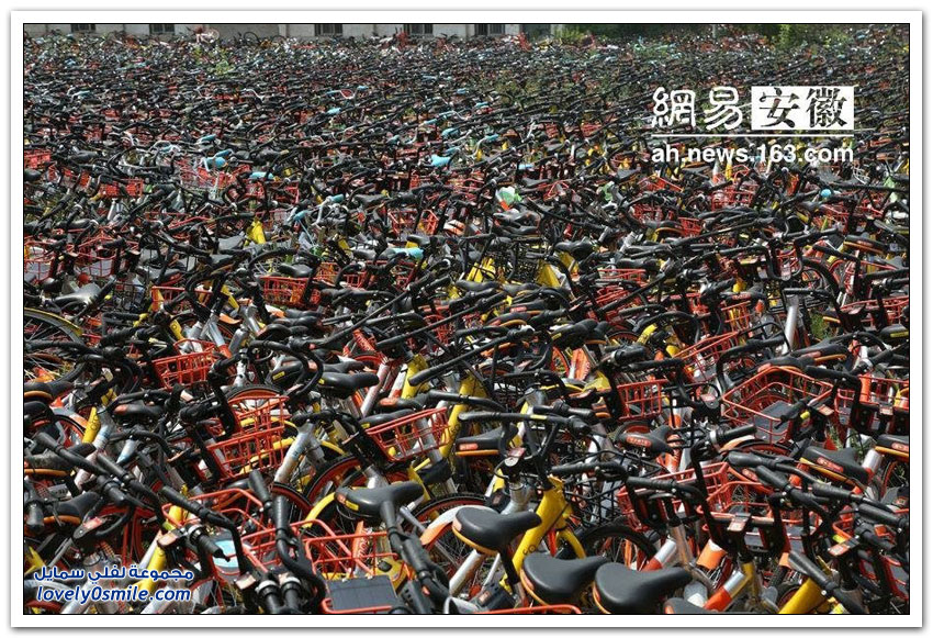 مقبرة الدراجات الهوائية في الصين