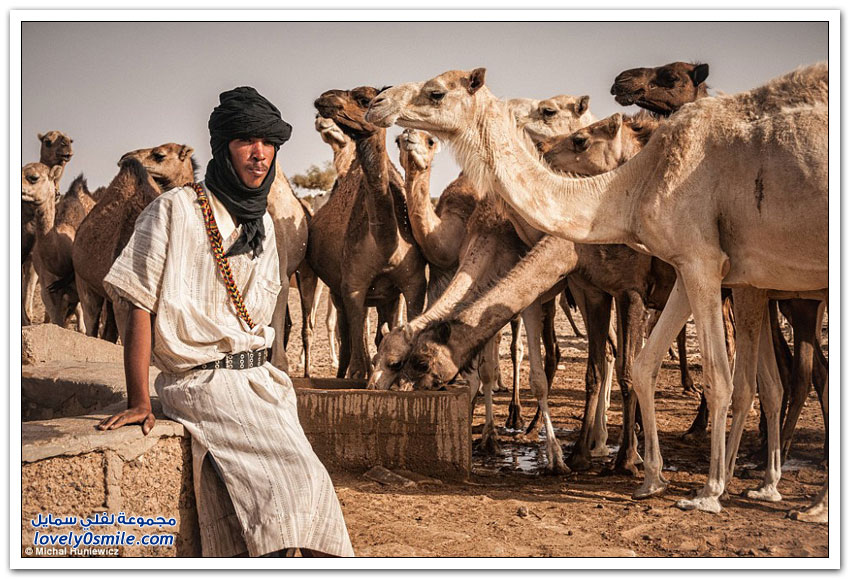 المكتبات المهجورة في صحراء شنقيط