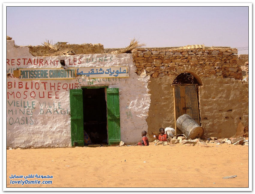 المكتبات المهجورة في صحراء شنقيط