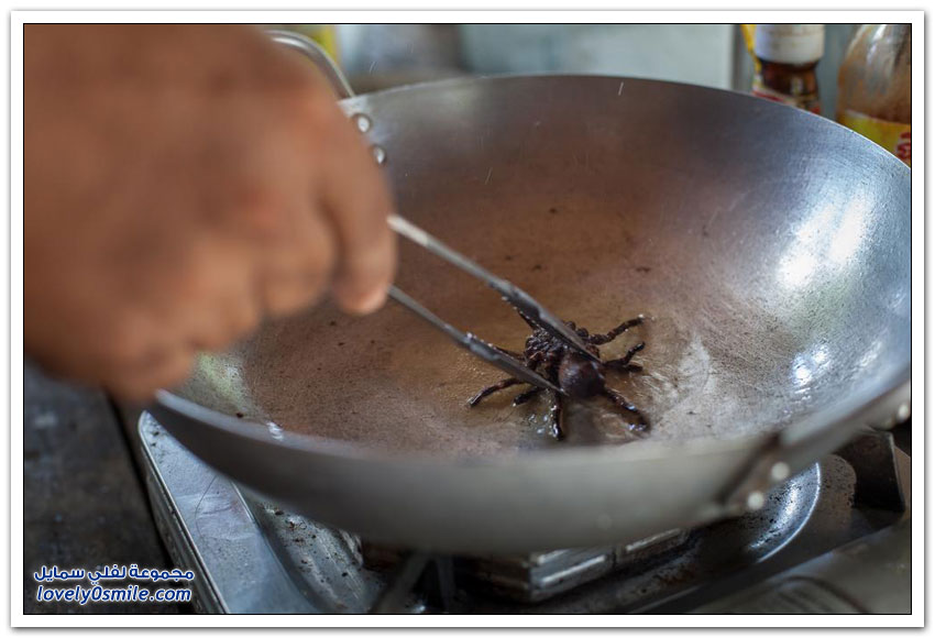 أكل العناكب في كمبوديا