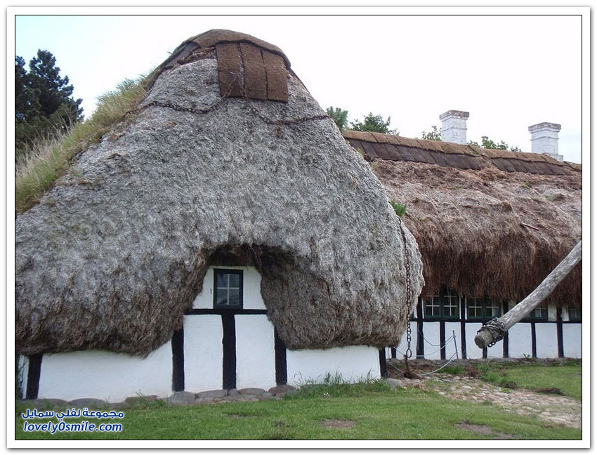 منازل دنماركية تقليدية ذات أسقف مصنوعة من الأعشاب البحرية