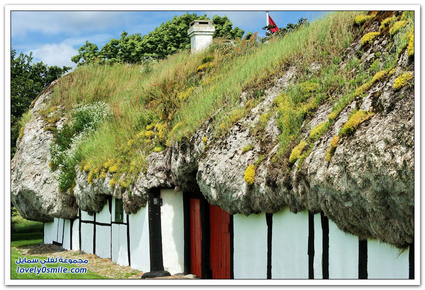 منازل دنماركية تقليدية ذات أسقف مصنوعة من الأعشاب البحرية