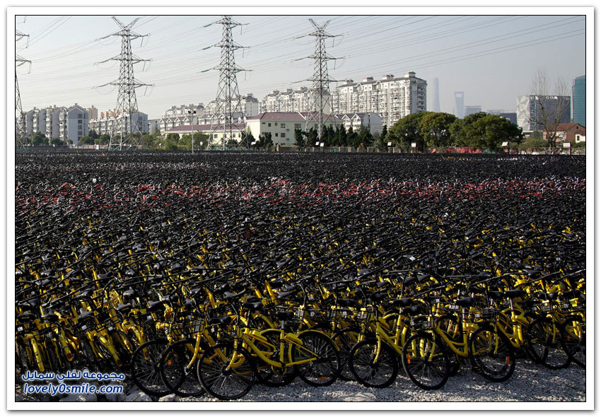 أكوام ضخمة من الدراجات الهوائية المهجورة في الصين