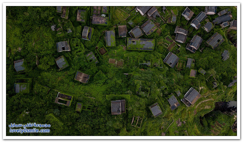 قرية مهجورة في الصين غطتها النباتات