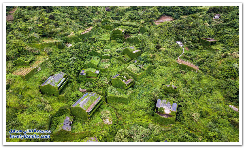 قرية مهجورة في الصين غطتها النباتات
