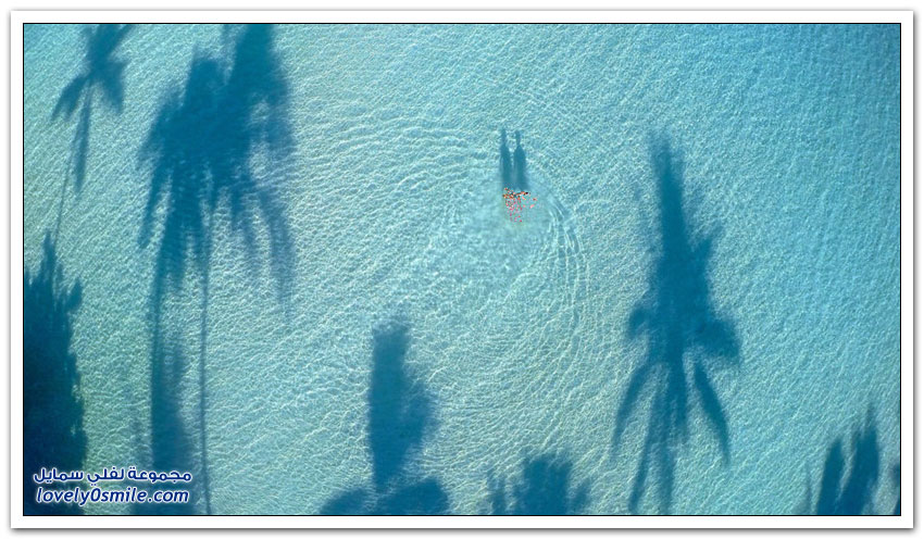 صور لطائرة بدون طيار لمناظر رائعة حول العالم