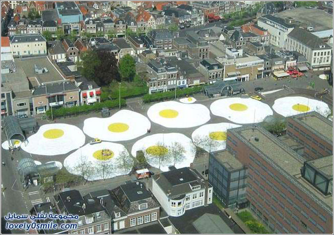 ���� ������ ���� ����� �� ����� ��������