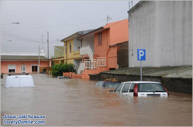 ����� ���������