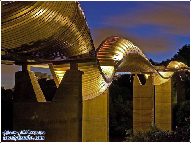 ��� ������� ���� �� ��������