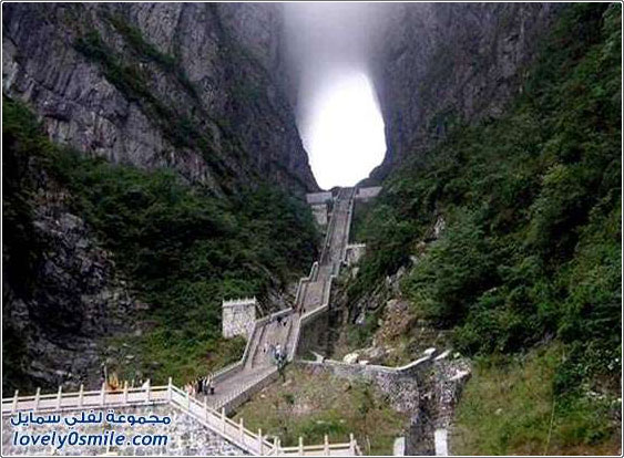 ����� ������ �� �����