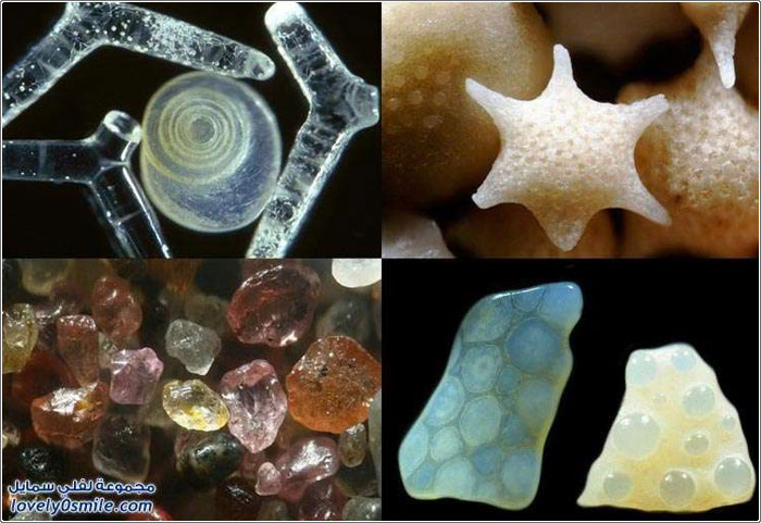 ����� ����� ����� ��� ������