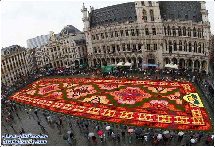 مهرجان الزهور في بروكسل