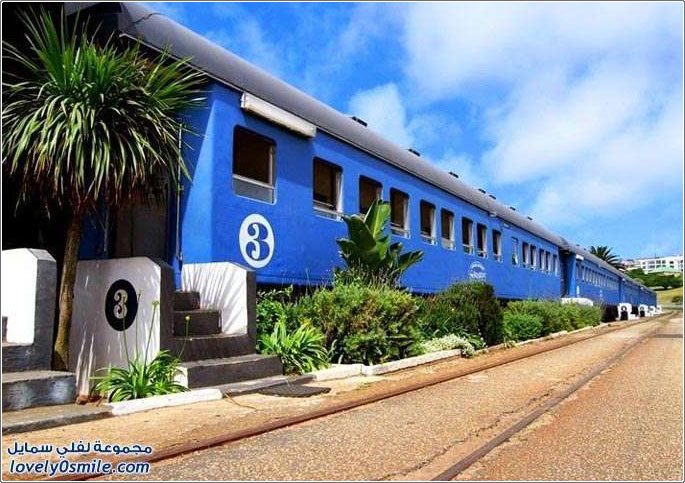 ���� ������ ������ ��� ����� ������