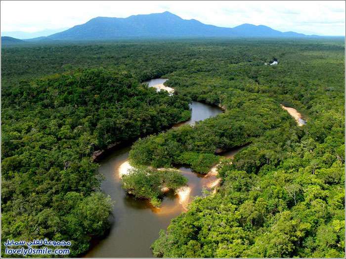 جولة في غابات الأمازون