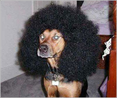 ������ ���� ���� ���..!!??