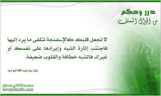 �� ���� ���� ���������