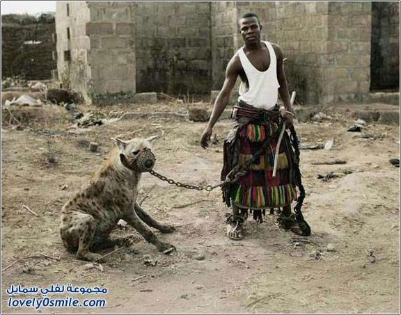 ���: ������ ��� ��������� ��������