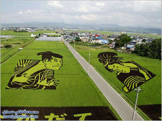 ��� �� ���� �����