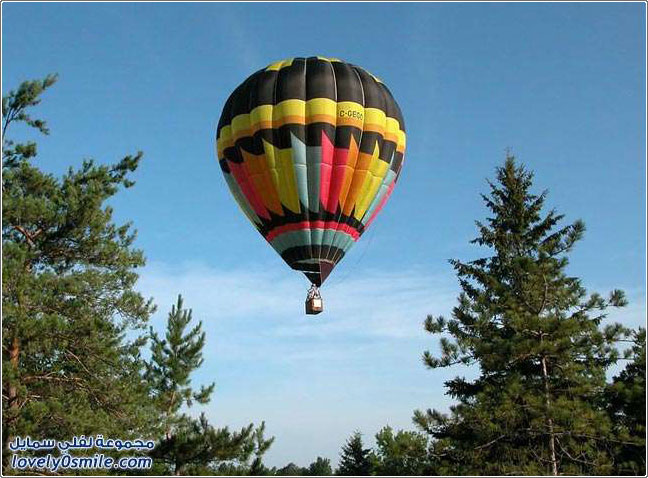 ���: �������