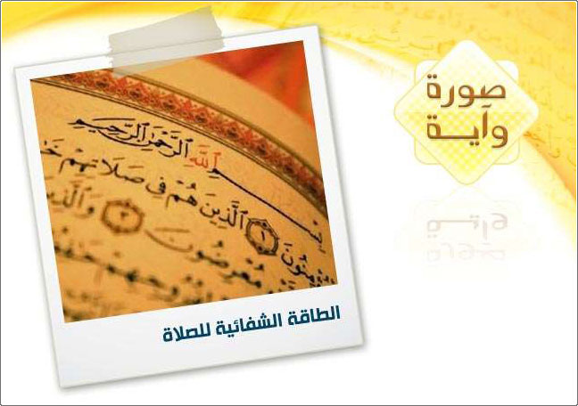 ����� �� ����� ������ ������ +