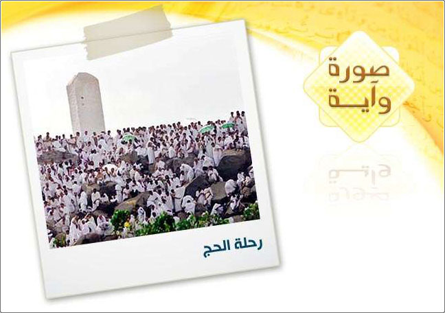 ����� ����� ��� ����� 19 + ���� ����